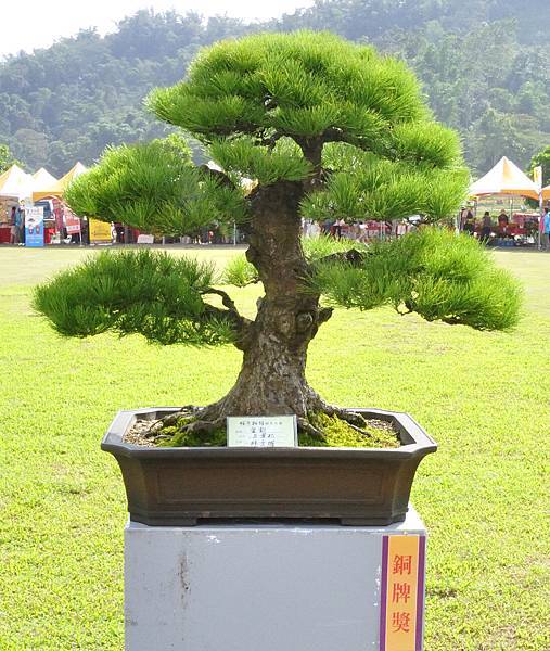 2015明潭松韻樹石大展0110.jpg