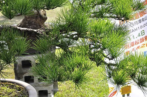 2015明潭松韻樹石大展0213.jpg