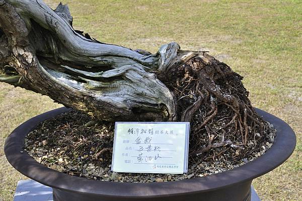 2015明潭松韻樹石大展0304.jpg
