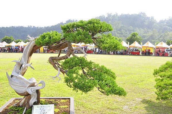 2015明潭松韻樹石大展0329.jpg