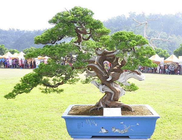 2015明潭松韻樹石大展0339.jpg