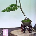 2015華松展0038.jpg