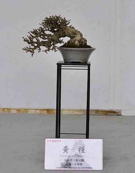 2015雅風展_00128.jpg