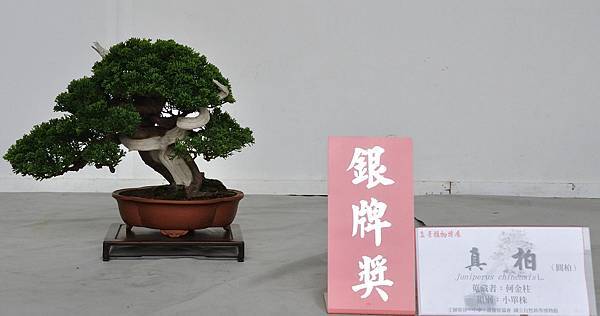 2015雅風展_00145.jpg