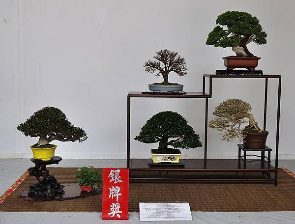 2015台中樹石展_00011.jpg