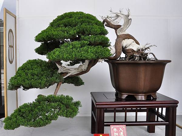 2015台中樹石展_00140.jpg