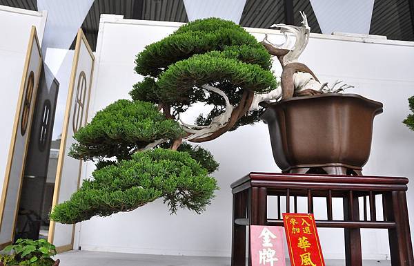2015台中樹石展_00144.jpg
