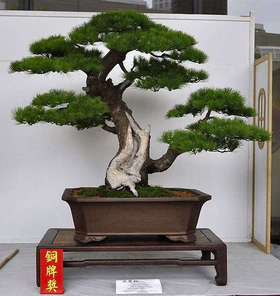 2015台中樹石展_00268.jpg