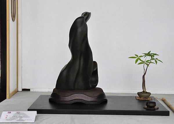 2015台中樹石展_00272.jpg