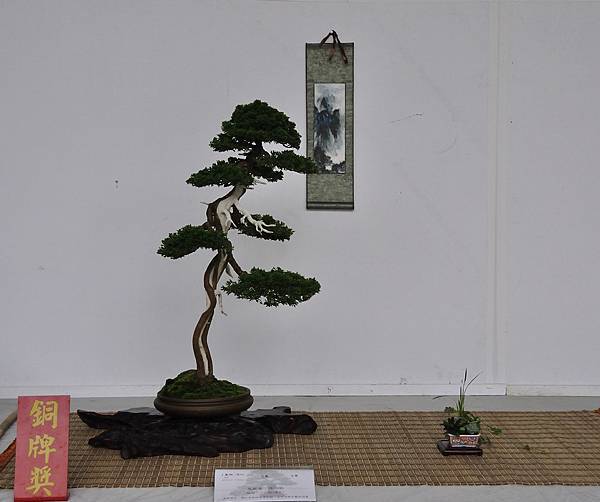 2015台中樹石展_00279.jpg