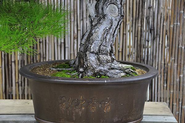 2015台中樹石展_00310.jpg