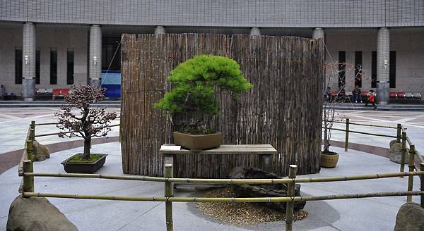 2015台中樹石展_00319.jpg