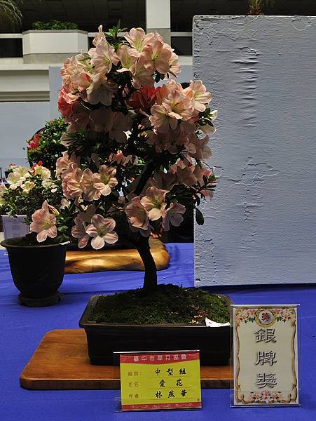 2016皋月展_00233.jpg