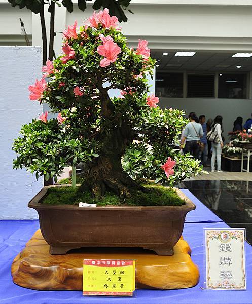 2016皋月展_00235.jpg