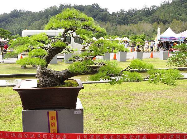 2016明潭松韻樹石大展_00026.jpg