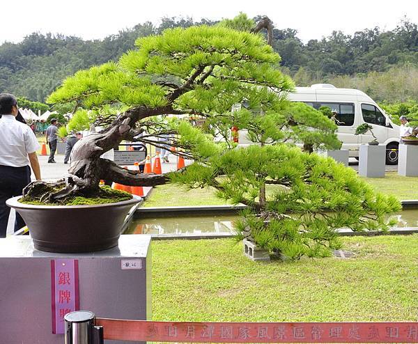 2016明潭松韻樹石大展_00030.jpg