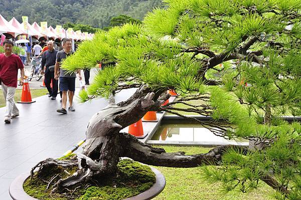 2016明潭松韻樹石大展_00034.jpg