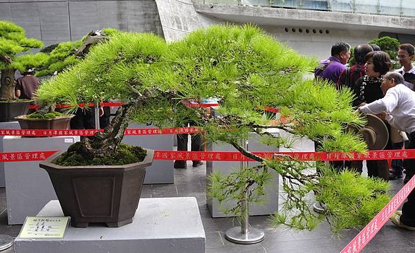 2016明潭松韻樹石大展_00056.jpg