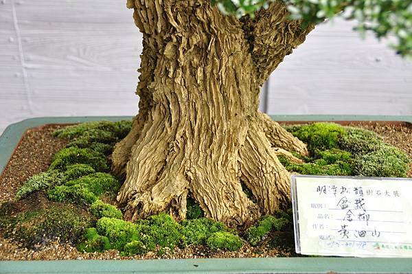 2016明潭松韻樹石大展_00105.jpg