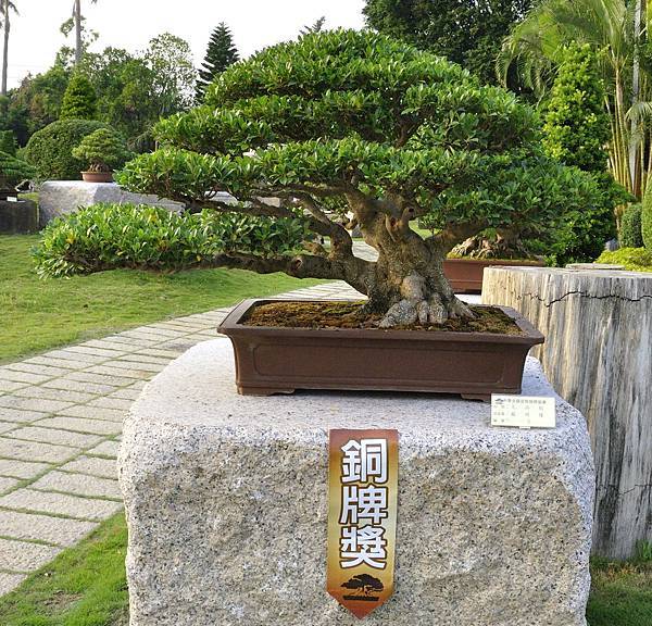 2016中華榕樹展展_00005.jpg