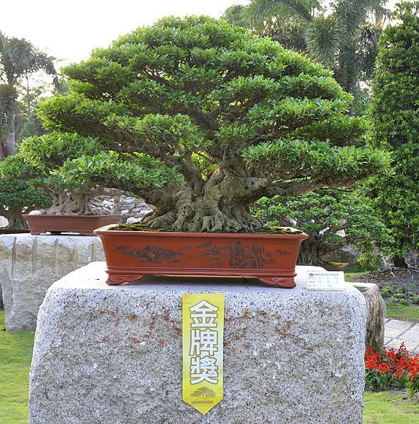 2016中華榕樹展展_00089.jpg