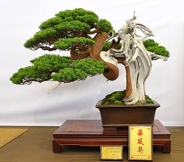 2016華風展_00046.jpg