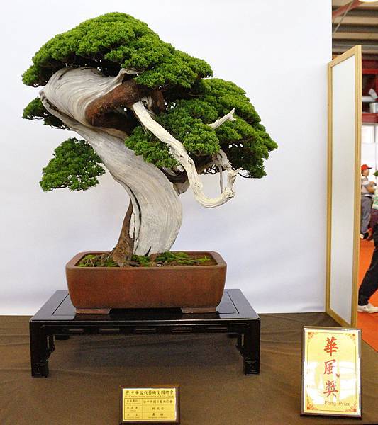 2016華風展_00245.jpg