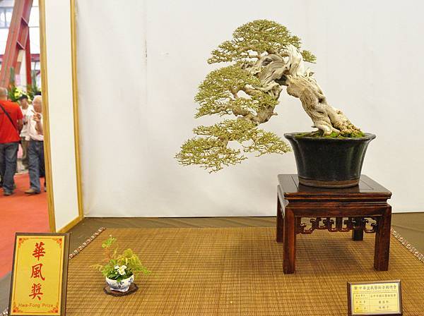 2016華風展_00258.jpg