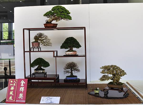 2016台中樹石展_00012.jpg