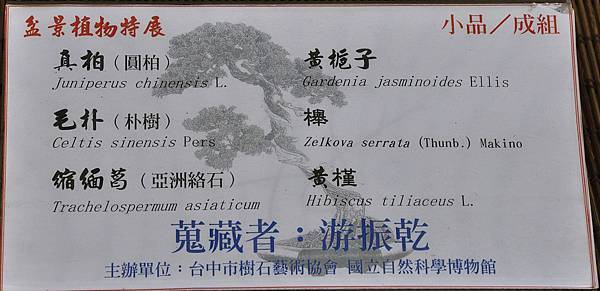 2016台中樹石展_00019.jpg