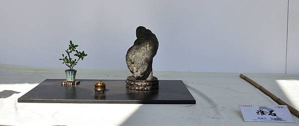 2016台中樹石展_00024.jpg