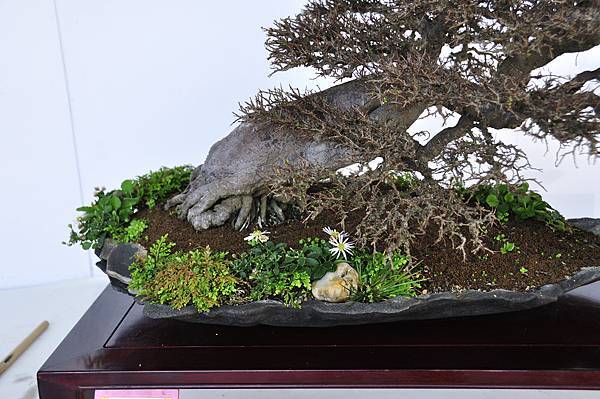 2016台中樹石展_00040.jpg