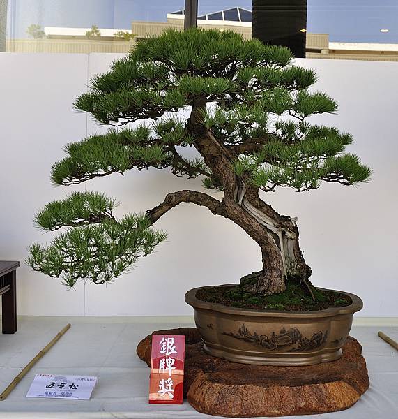 2016台中樹石展_00091.jpg