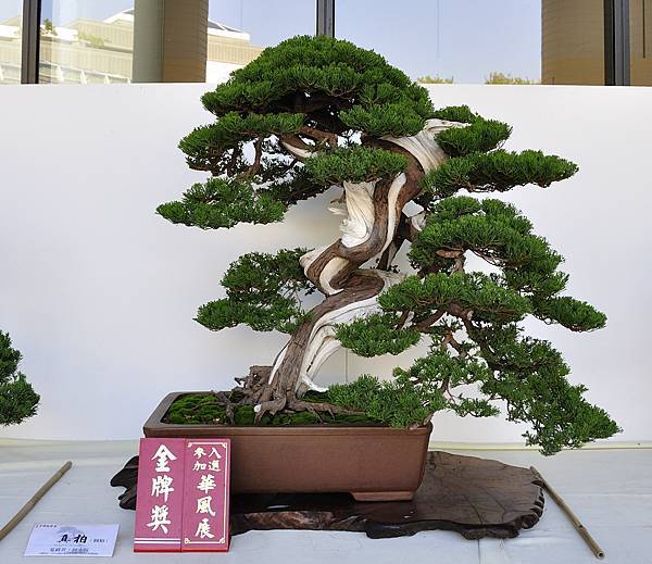 2016台中樹石展_00111.jpg