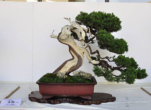 2016台中樹石展_00118.jpg