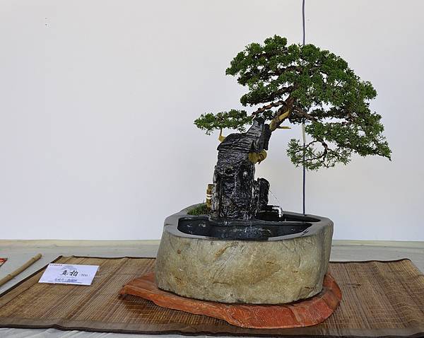 2016台中樹石展_00128.jpg