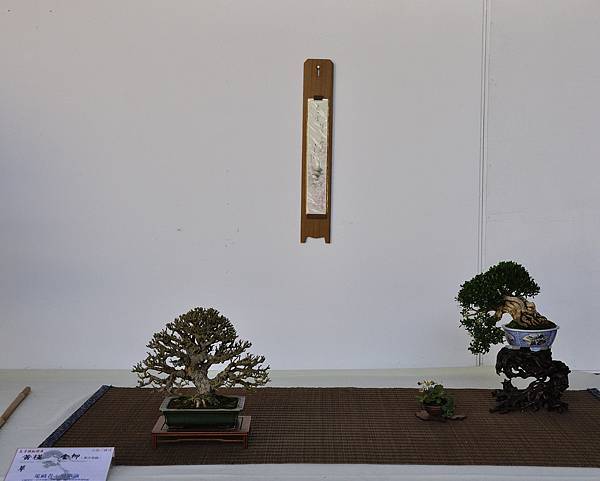 2016台中樹石展_00134.jpg
