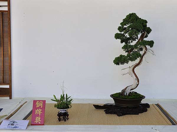 2016台中樹石展_00138.jpg