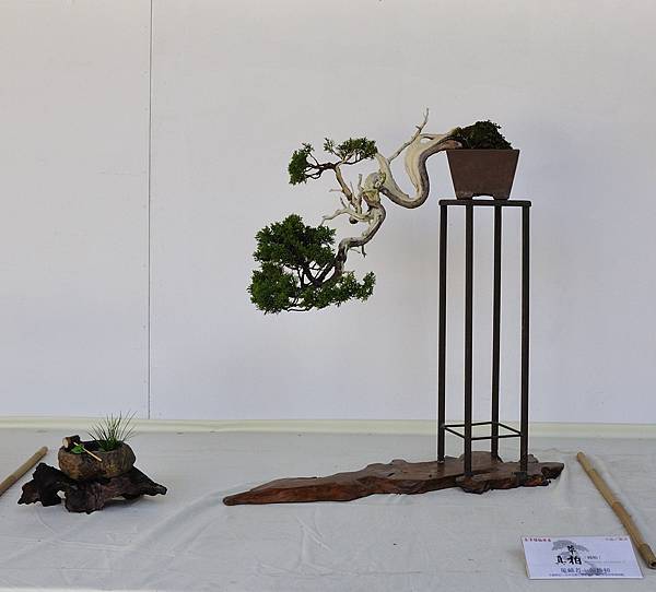 2016台中樹石展_00140.jpg