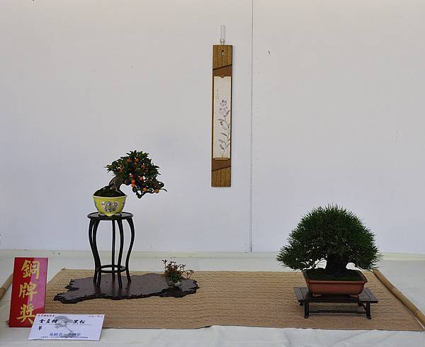 2016台中樹石展_00142.jpg
