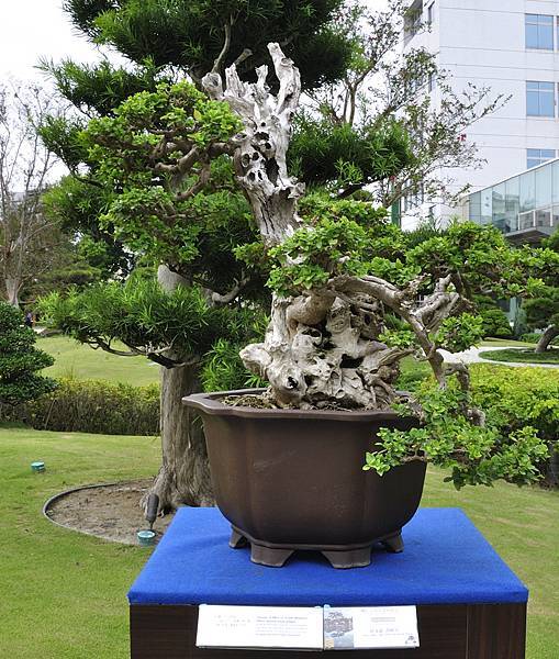 2017成美園_00004.jpg