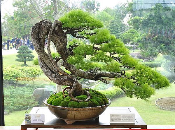 2017成美園_00096.jpg