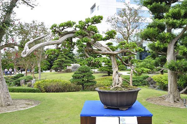 2017成美園_00001.jpg