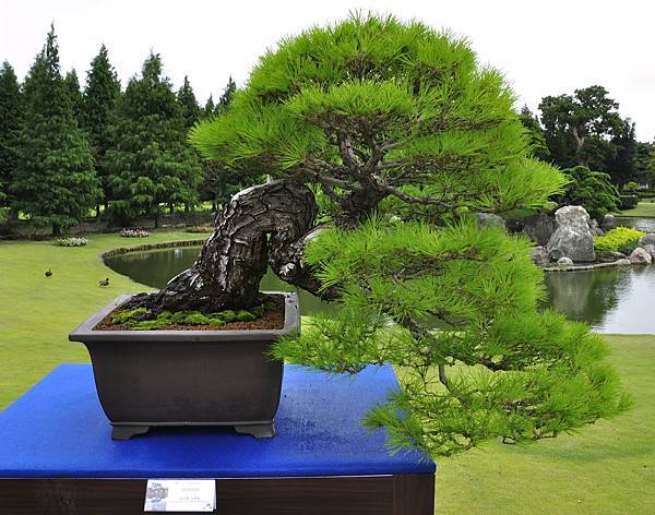 2017成美園_00014.jpg