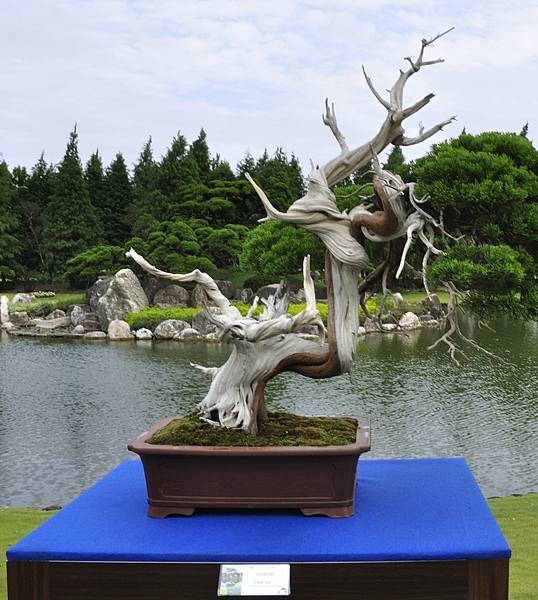 2017成美園_00032.jpg