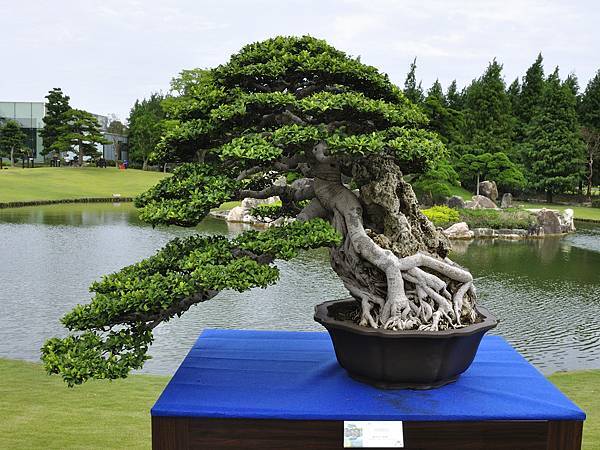 2017成美園_00040.jpg