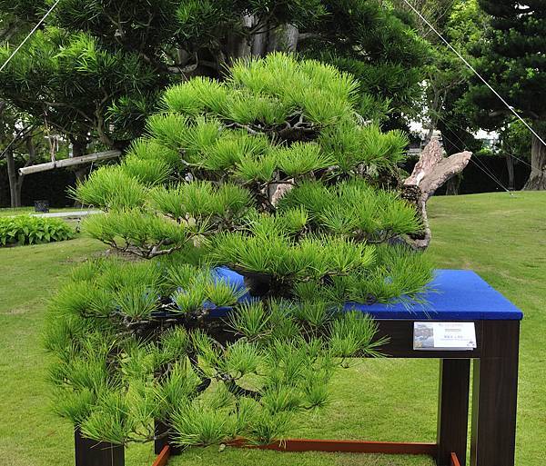 2017成美園_00054.jpg