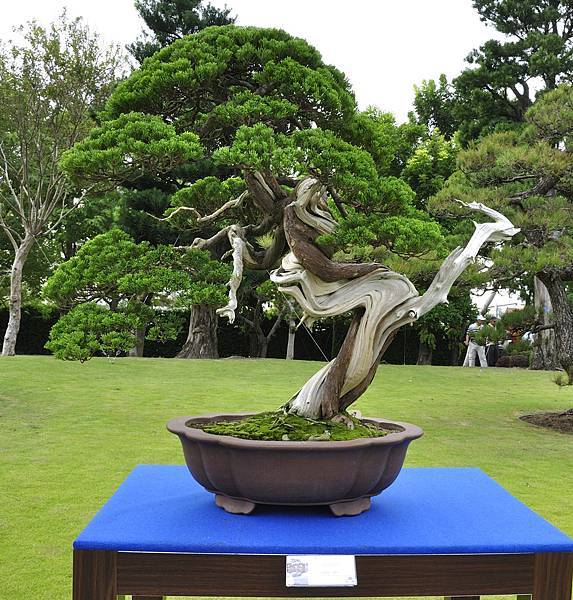 2017成美園_00060.jpg