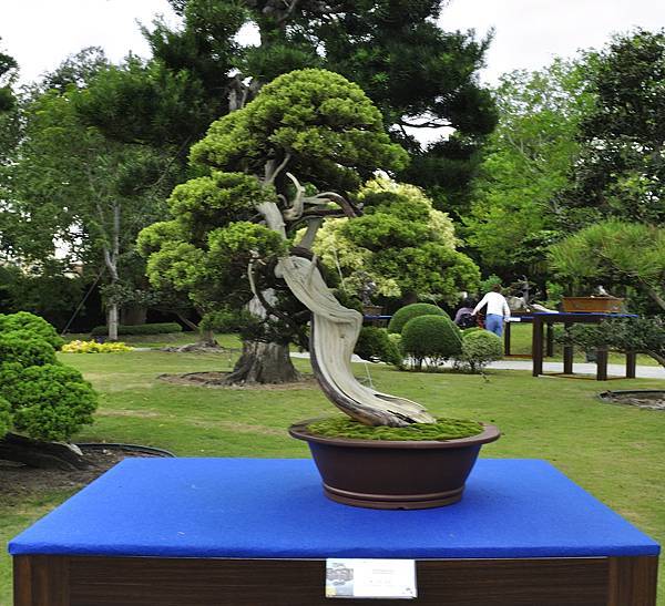 2017成美園_00068.jpg