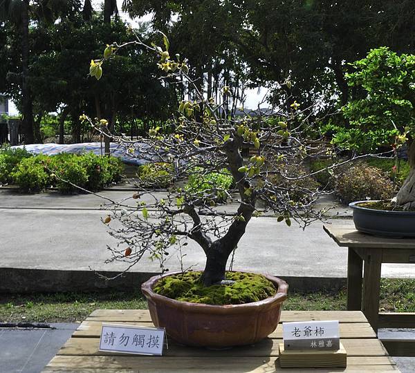 2017台灣花菓展_00044.jpg